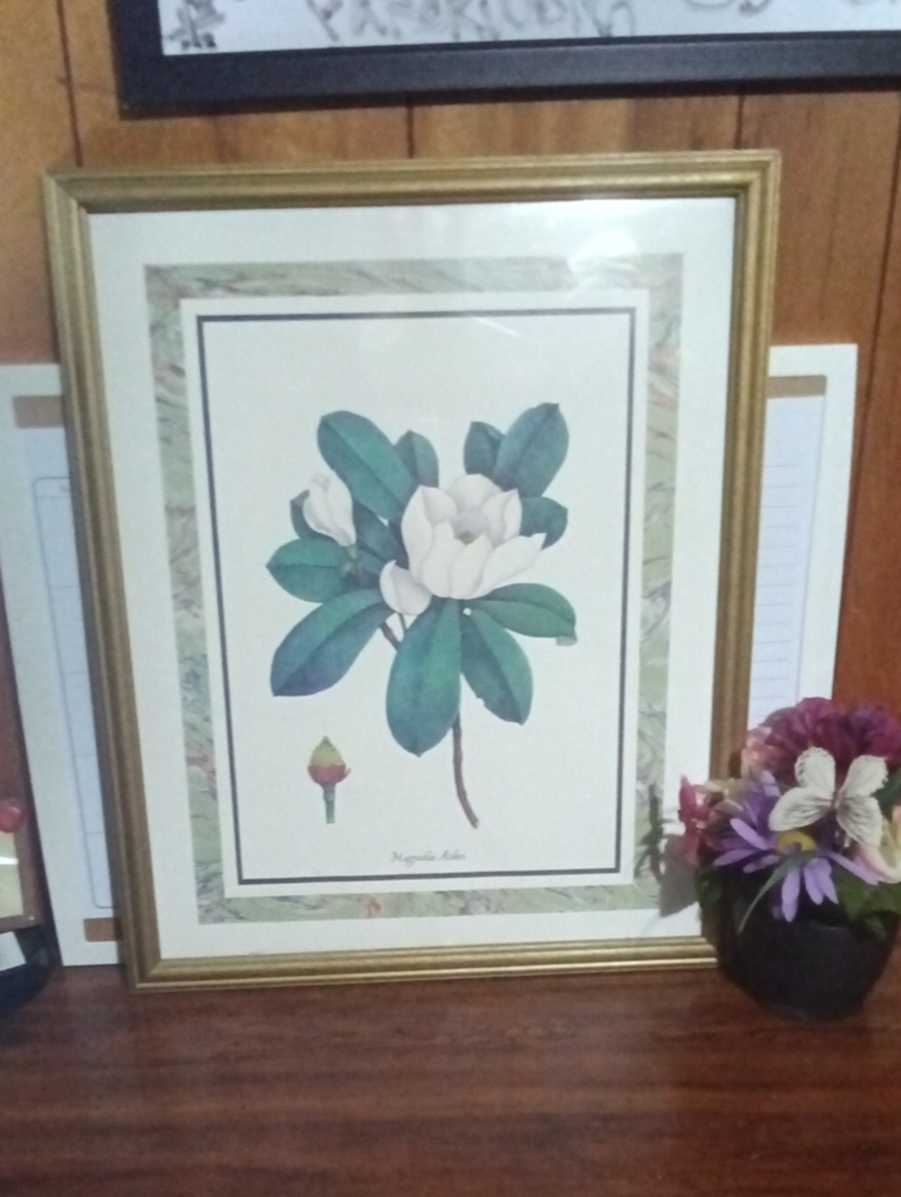 Framed Botanical Magnolia Art Print - Gold Frame, Green & Cream